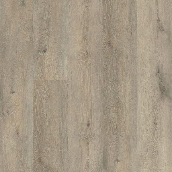 Chesapeake Liberty Plus Princeton laminate CHML8RL522EIR