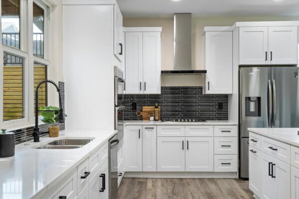 white kitchen and vanity white shaker dw cabinetry modern