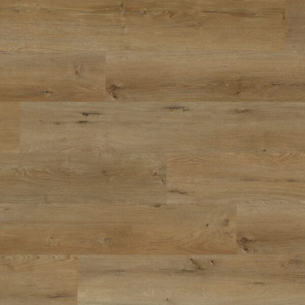 CAITLIN by Lawson Floors Legends II Collection PCL995