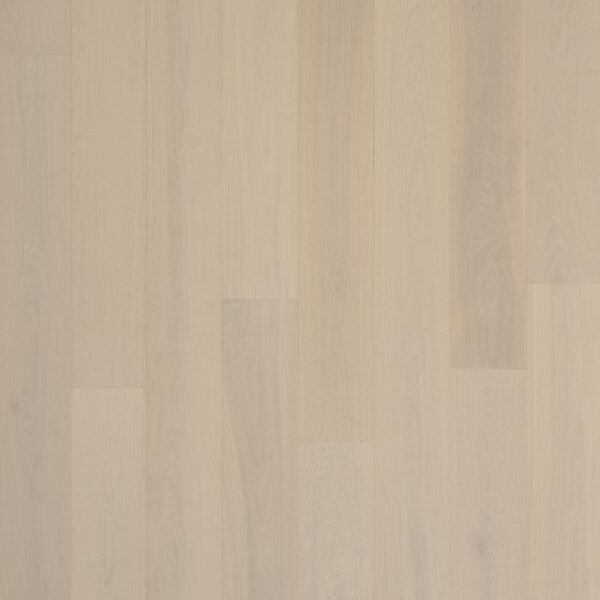 ICARIA European Oak Premium Grade OPUS95I4